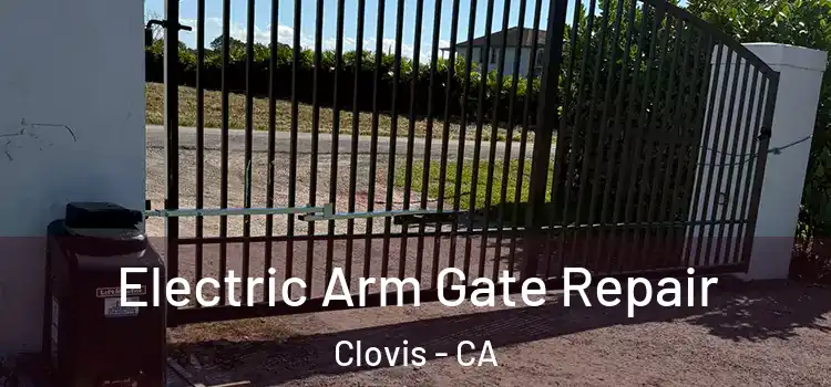 Electric Arm Gate Repair Clovis - CA